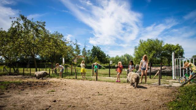 Welcome In - Oranjezon - Vakantiehuis 6 Personen Vrouwenpolder Ngoại thất bức ảnh